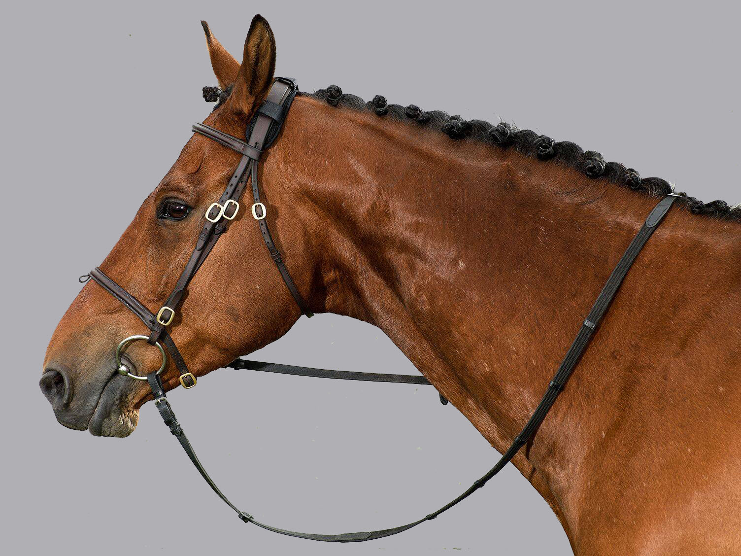 Does your horse carry tension in their Poll?