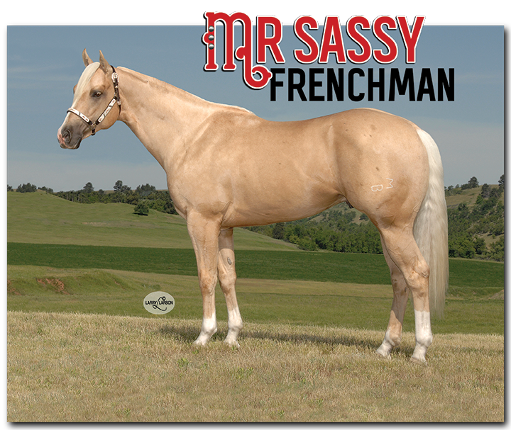 Working Horse Magazine