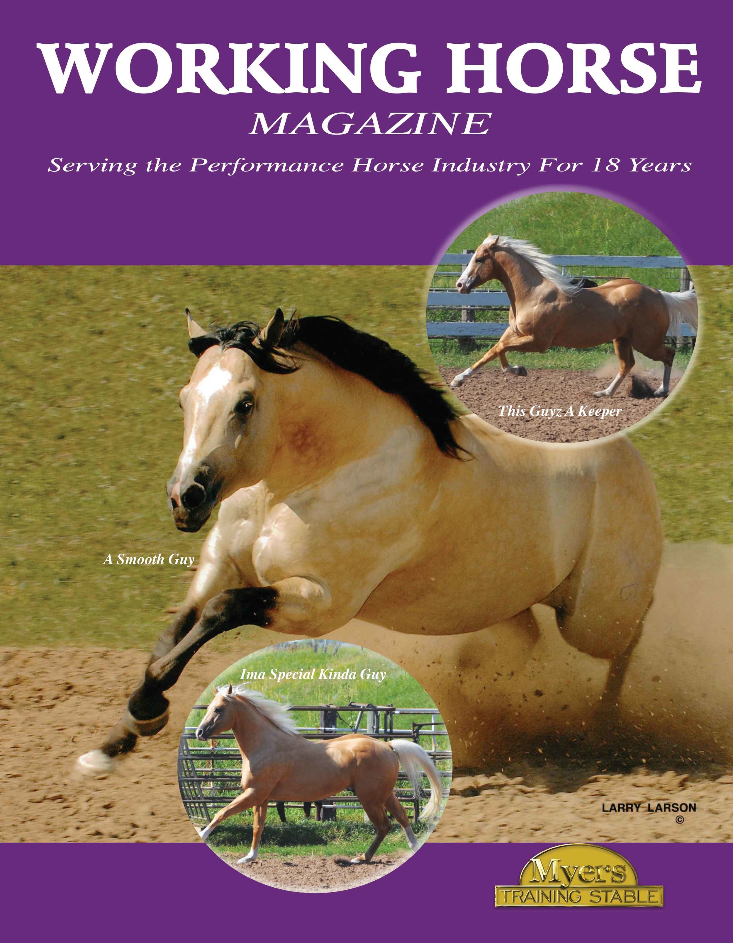 A Smooth Guy Working Horse Magazine Cover