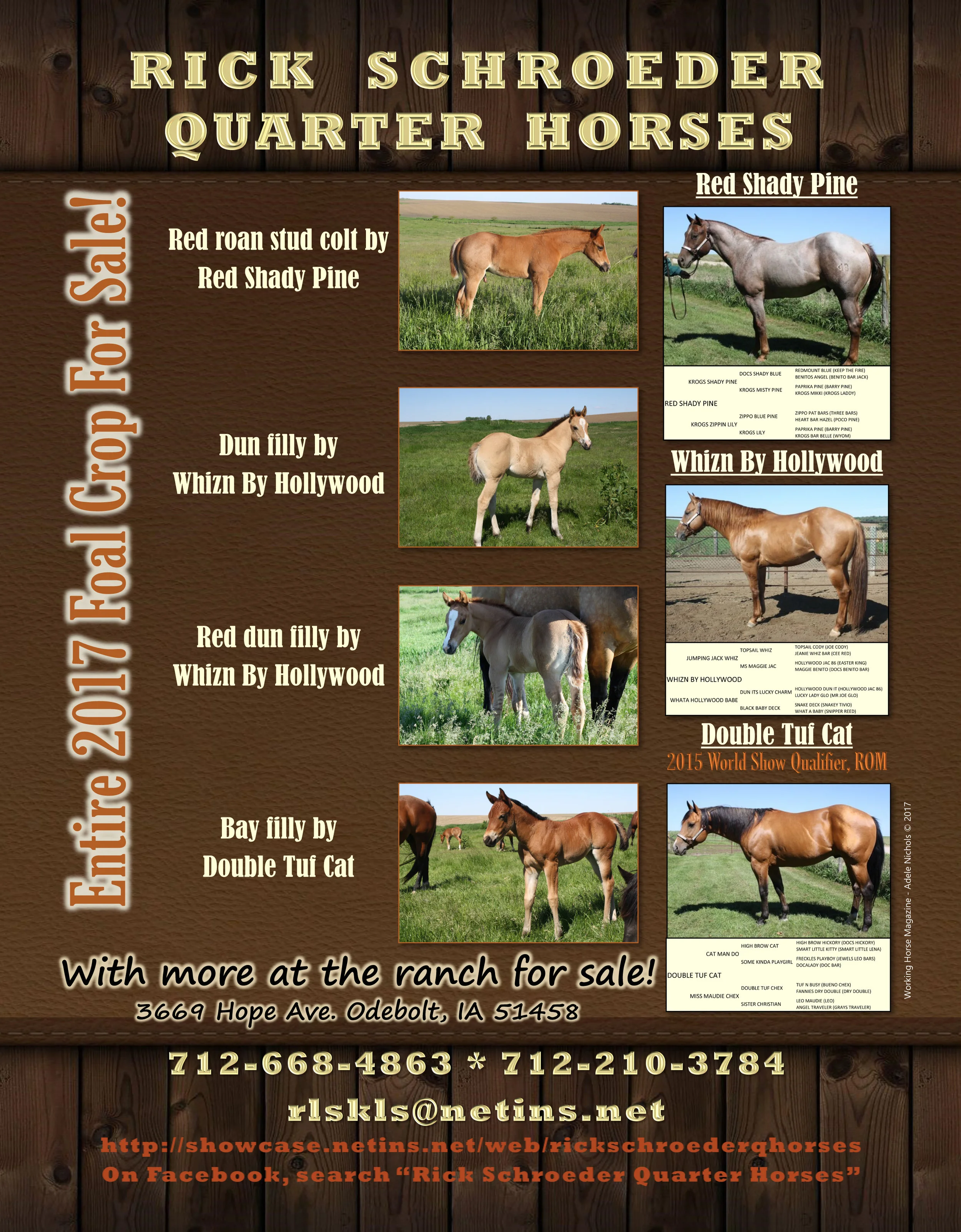 Working Horse Magazine