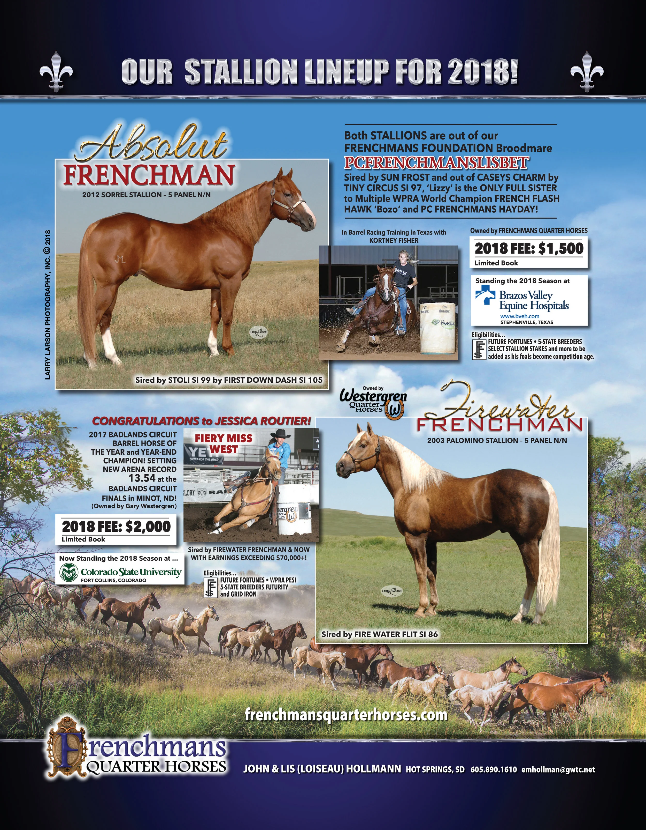 Working Horse Magazine