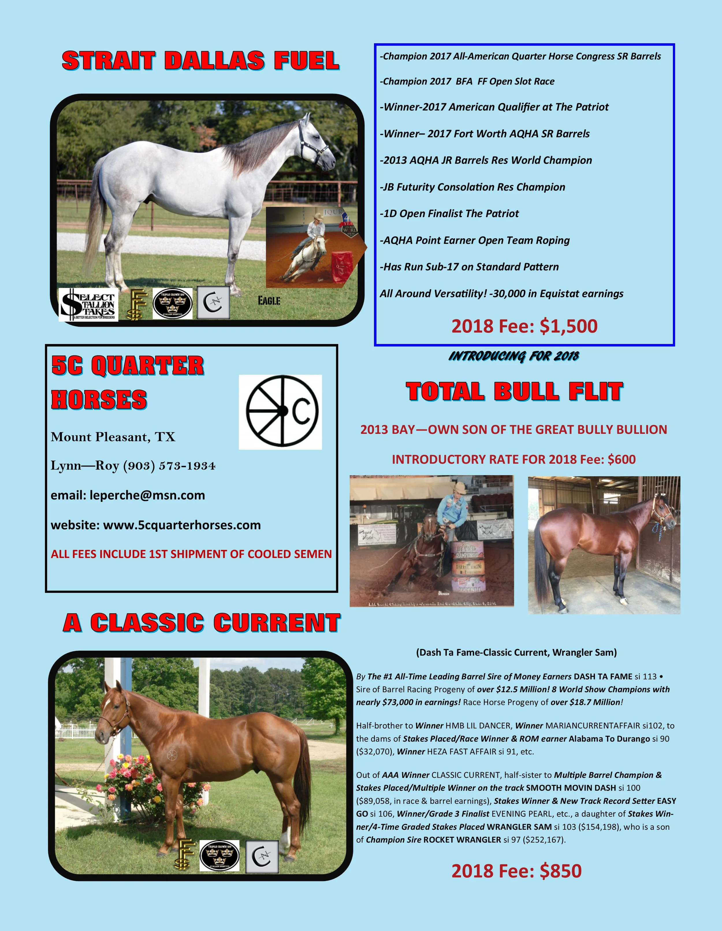 Working Horse 2018.jpg