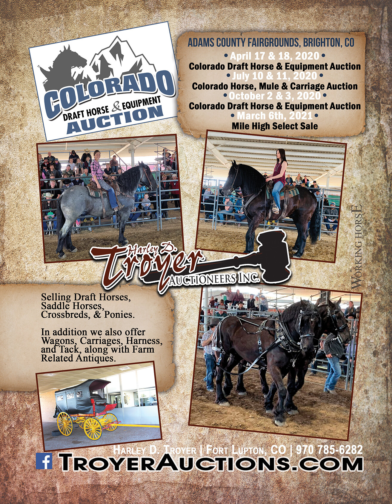 Working Horse Magazine