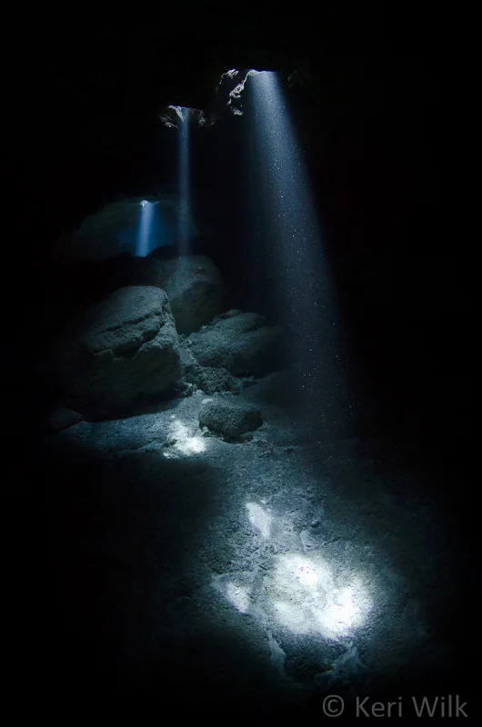 ambient5.jpg