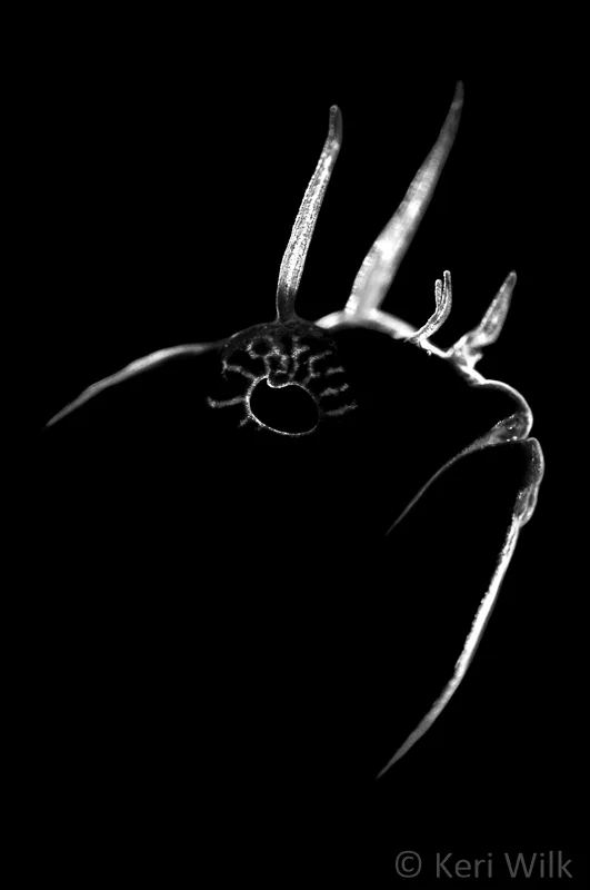 KeriWilk_Portfolio 3-3.jpg