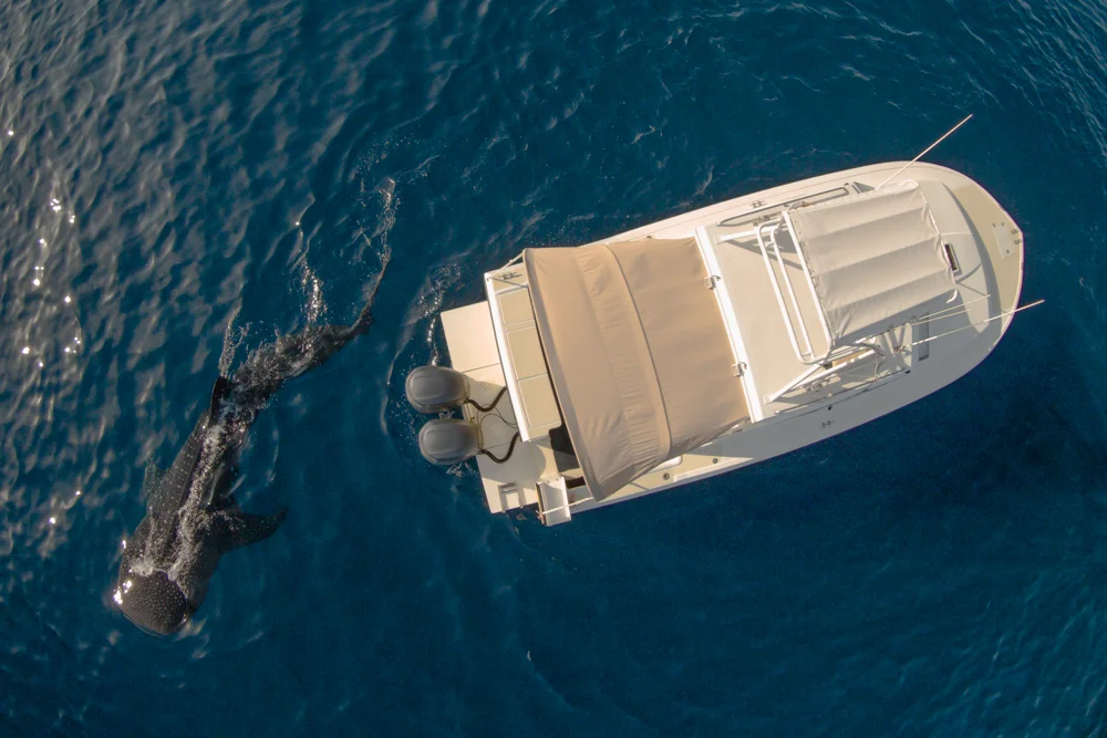 DJI00088.jpg