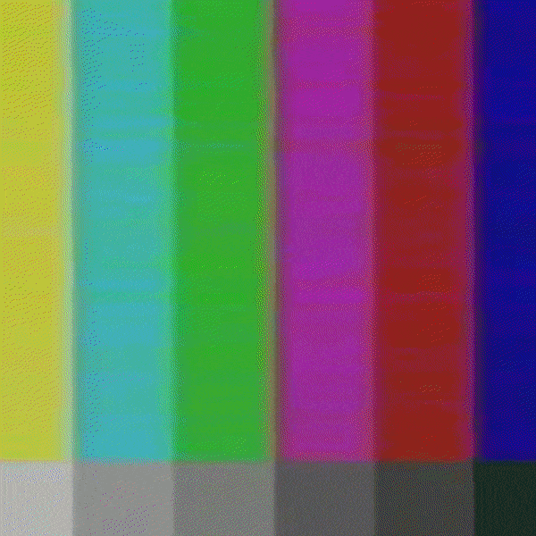 polaroid.gif