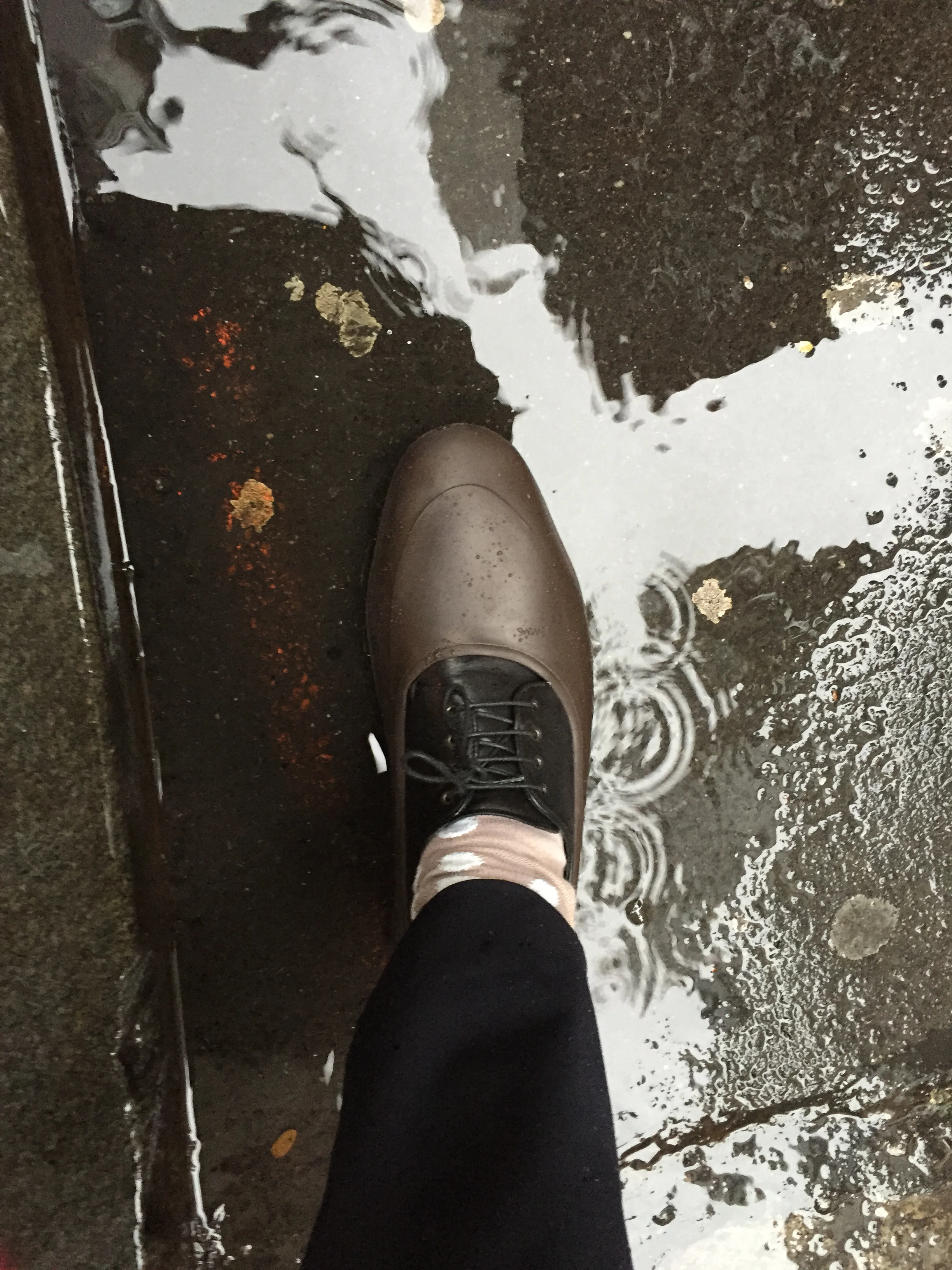 swims shoes sale