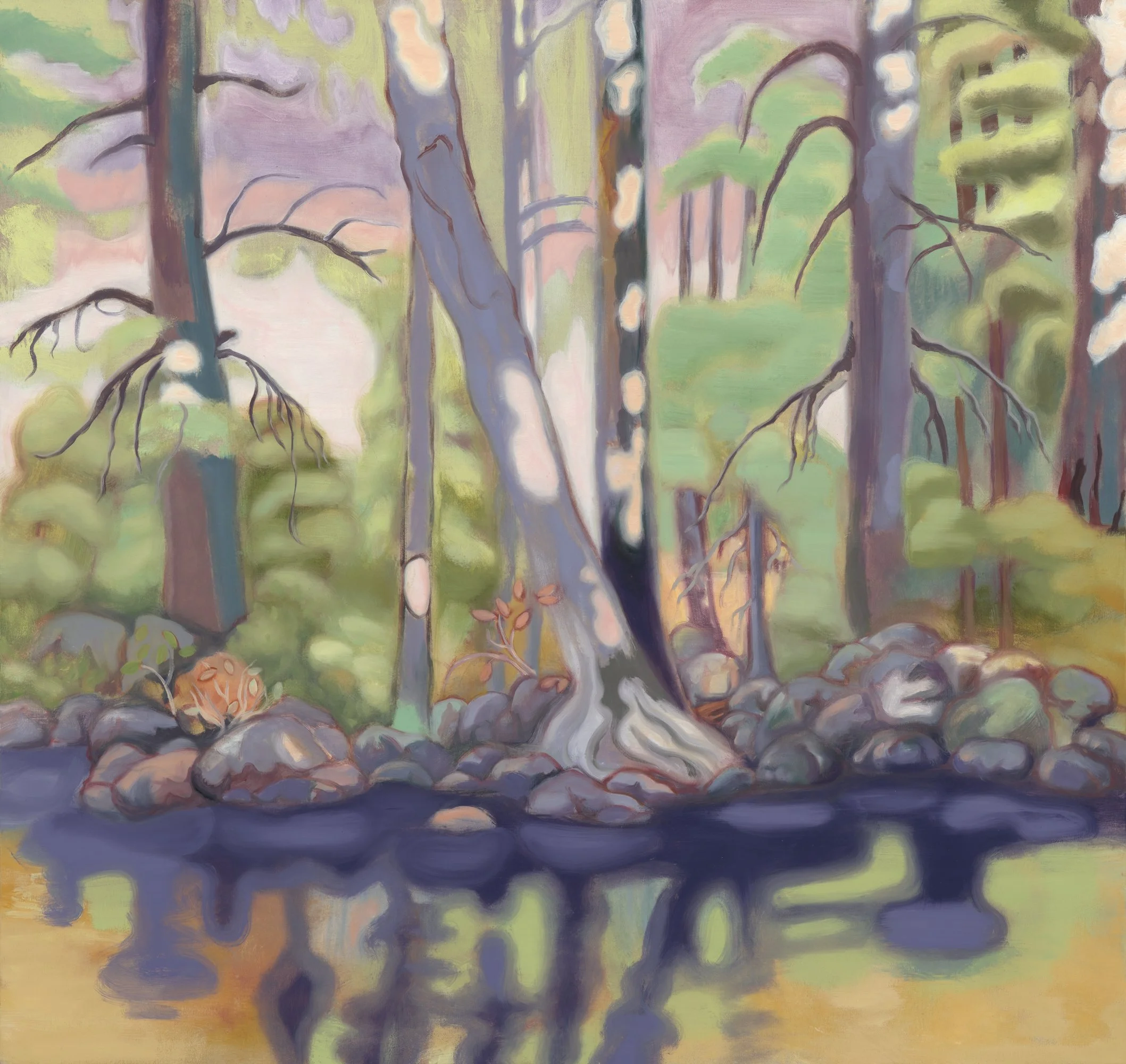 Early Autumn Mountain Spring