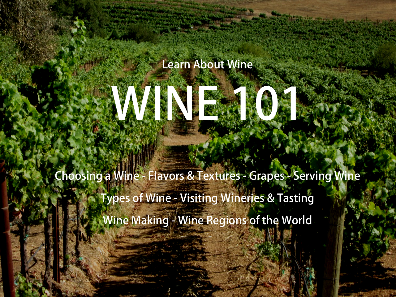 Wine 101 on Vineyard.jpg