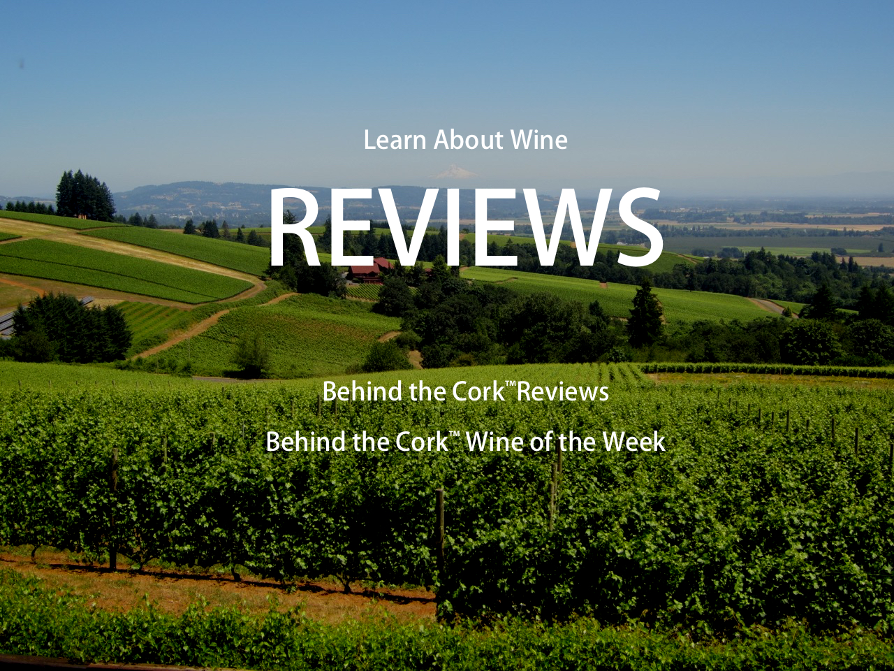 Reviews on the Vineyard.jpg