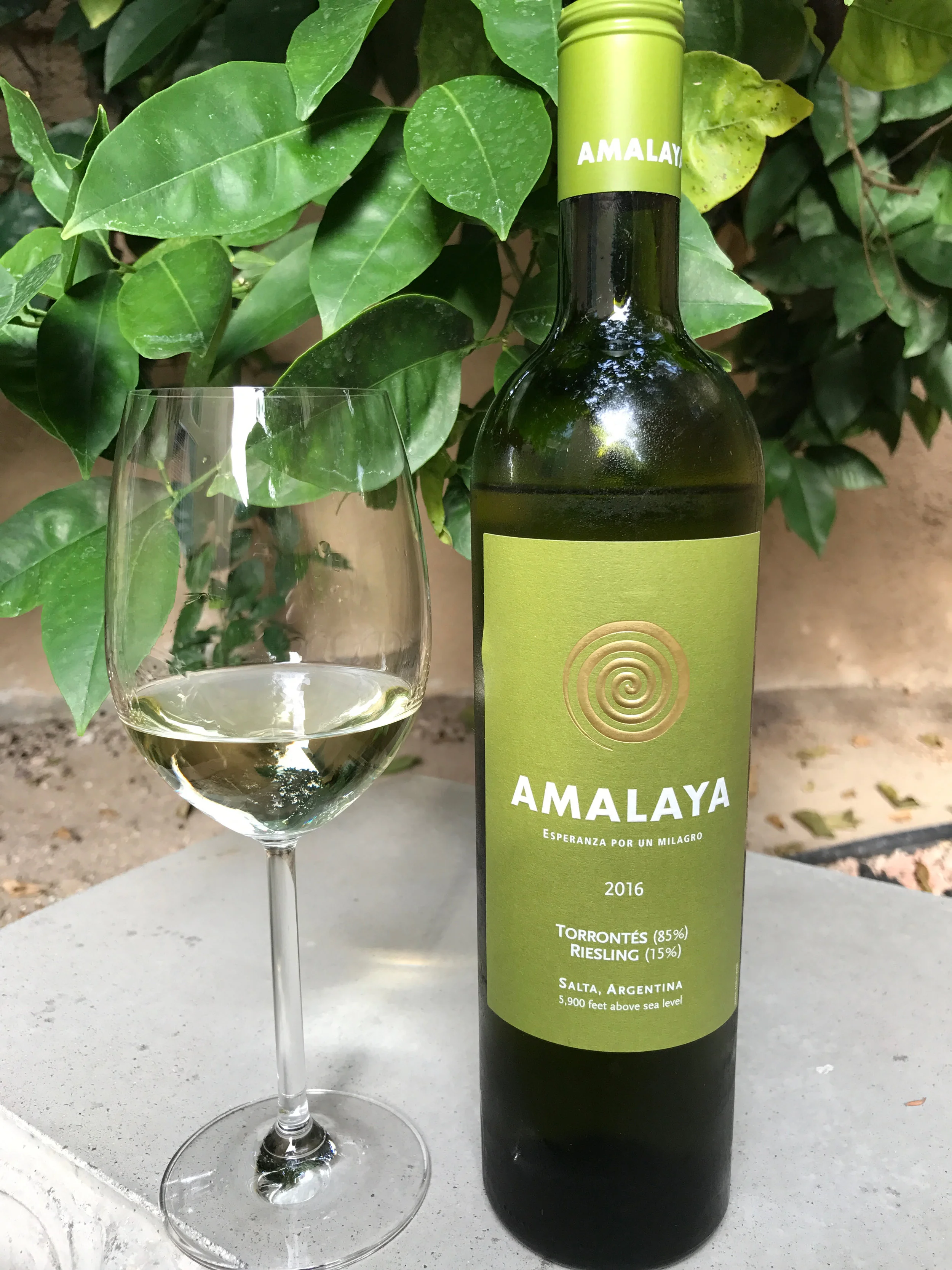 2016 Amalaya Blanco ($12) Amalaya wines was founded in Argentina in 2010 by Donald Hess of the Hess Family Wine Estates. The grapes are grown in the Calchaquí Valley in the eastern foothills of the Andes mountain range at altitudes as high as 5580 feet. This high altitude provides intense sun in the day and cool nights to produce concentrated fruit. Amalaya Blanco is a blend of 85% Torrontés and 15% Riesling. It was cold-pressed, allowed to settle for up to 48 hours before being racked and fermentation started. After fermentation it was again chilled to prevent malolactic fermentation and then aged in stainless steel for up to 120 before bottling. The Amalaya Blanco starts with fresh aromas of grapefruit and citrus and has bright, fresh, crisp and refreshing flavors with good acidity and just a hint of minerality. It is light-bodied with delicate flavors. Great to enjoy alone by the glass or with sea foods. Amalaya wines maybe relatively new to the wine scene, but Donald Hess of the Hess Family Wine Estates has got a very good thing going with this wine. The label may say " Esperanza por un milagro " (the hope for a miracle) but none is needed with this one. And, as always here on Behind the Cork™ - Wine of the Week , this one's a great value! Give it a try! Disclosure of Wine Sample Submission: I received this wine at no cost for review. The opinions expressed are entirely my own. Sample Provided by Donna White Communications