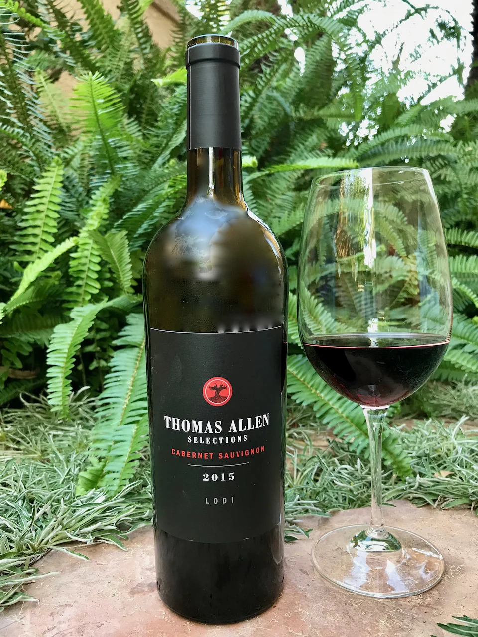 2015 Thomas Allen Selections Lodi Cabernet Sauvignon ($7) Generally, when I see a California Cab under $10 I don't pay too much attention. But this Cab is from Lodi, a region I really like. And, while Lodi isn't exactly the best-known region in California for Cabernet Sauvignon, I decided to give it a try. And I'm really glad I did. It turns out that Thomas Allen is not one person but a pair of third generation wine grape growers; Thomas Michael Stokes and Allen Lombardi. The Stokes have a family tradition of growing exceptional wine grapes having planted their first 45 acres of Zinfandel near Lodi in 1954. This Cab is rich and full-bodied with flavors of blackberry and black cherry, with hints of spices. The oak aging also led to subtle flavors of vanilla and chocolate.