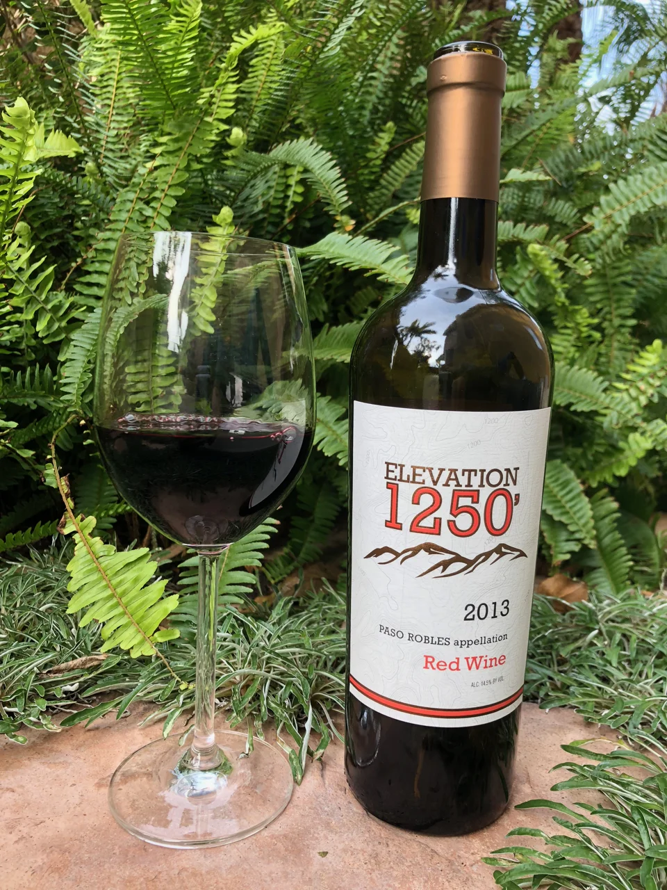 Elevation 1250.jpg