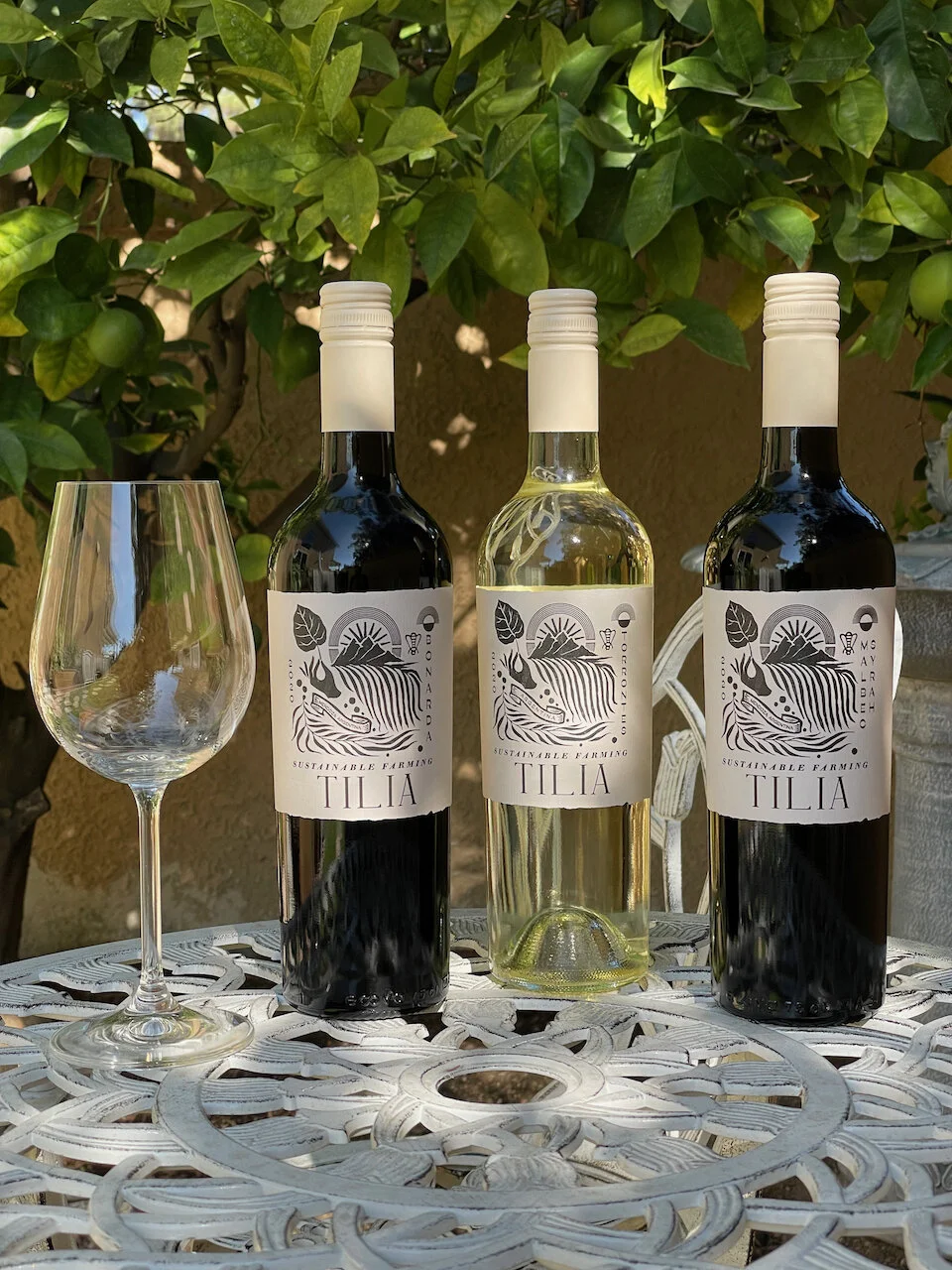 Wines of TILIA from Argentina   Tilia’s rural origins in Mendoza Argentina connect them deeply to the land and to their community. As the first Argentine wine to carry the Bodegas de Argentina Certified Sustainable Seal, the TILIA label illustrates