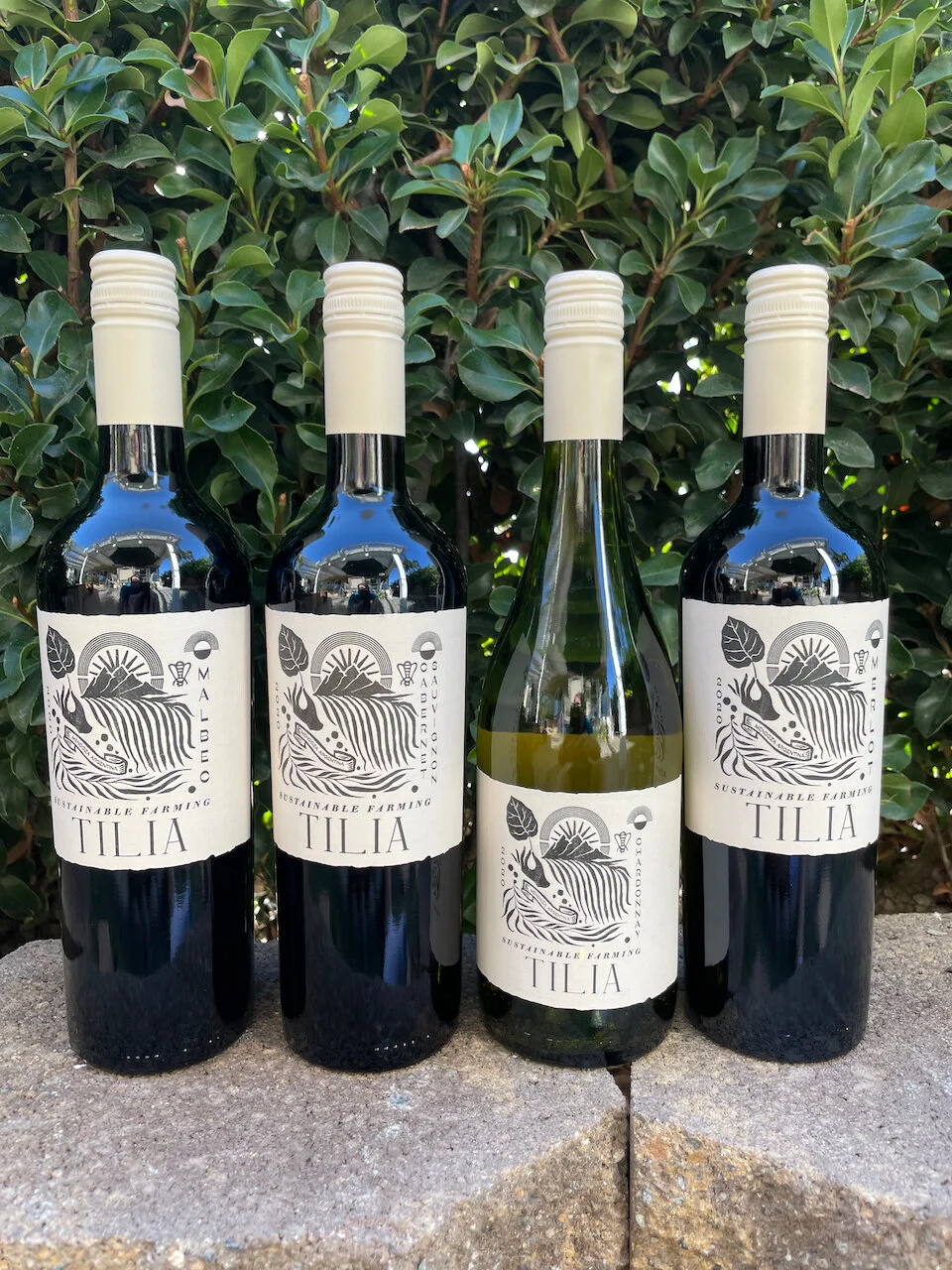 Wines of TILIA from Argentina   Tilia’s rural origins in Mendoza Argentina connect them deeply to the land and to their community. As the first Argentine wine to carry the Bodegas de Argentina Certified Sustainable Seal, the TILIA label illustrates
