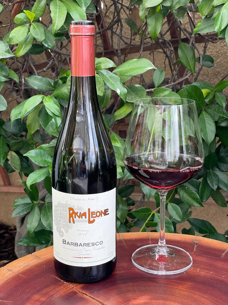 2017 Riva Leone Barbaresco ($24.99)   Riva Leone was a man of unique character and personality who was an ambassador for the special wines of the Langhe all throughout Europe in the early 20th Century. His legacy lives on in the Riva Leone wines wh