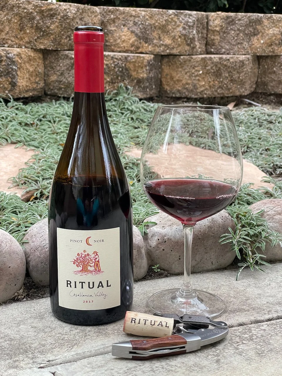 2017 Ritual Pinot Noir ($19.99)   The Ritual estate is situated in the extreme eastern end of Chile’s  Casablanca Valley that is heavily influenced by the cooling effects of the  Pacific Ocean — ideal growing conditions for  Pinot Noir. Following o