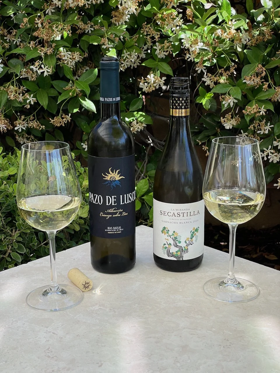 Behind the Cork™ Wine of the Week — EverWonderWine?