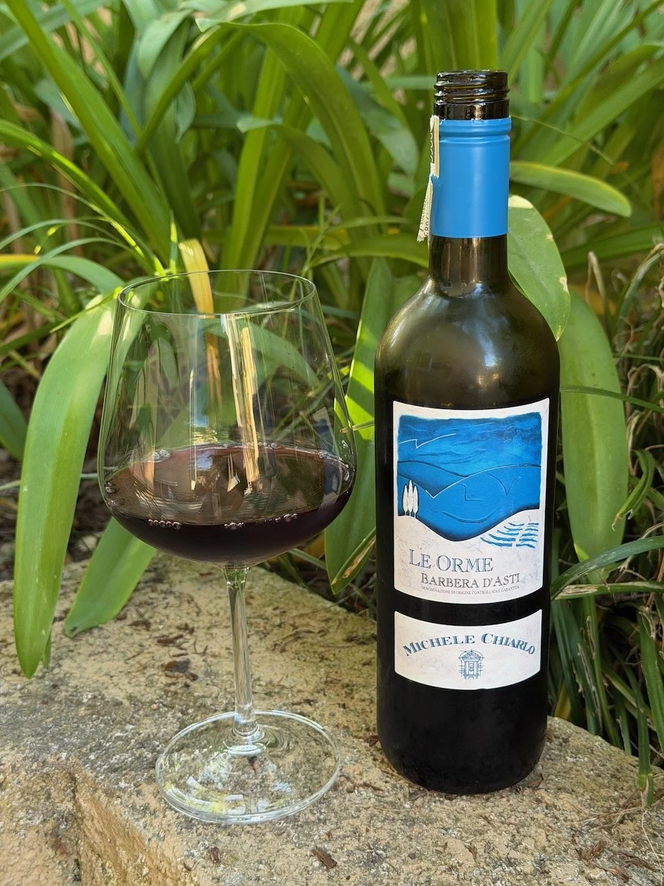   2020 Michele Chiarlo Le Orme Barbera D’Asti ($12)   Since 1956, Michele Chiarlo has been vinifying the essence of Piedmont, loving and developing the most incredible wine region in the world. They cultivate 110 hectares of vineyards between the Lan