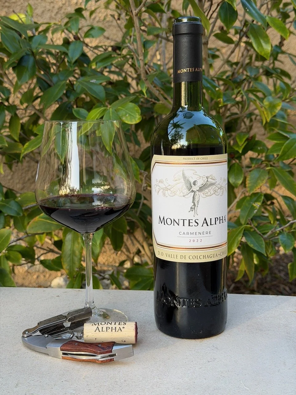   2022 Montes Alpha Carmenère ($24.99)   Montes — officially  Viña Montes  — was founded in 1987 by four partners with extensive experience in winemaking and viticulture: Aurelio Montes, Douglas Murray, Alfredo Vidaurre, and Pedro Grand. Their foundi