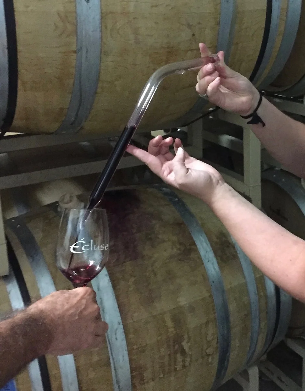 Getting to Know a Wine Thief — EverWonderWine?