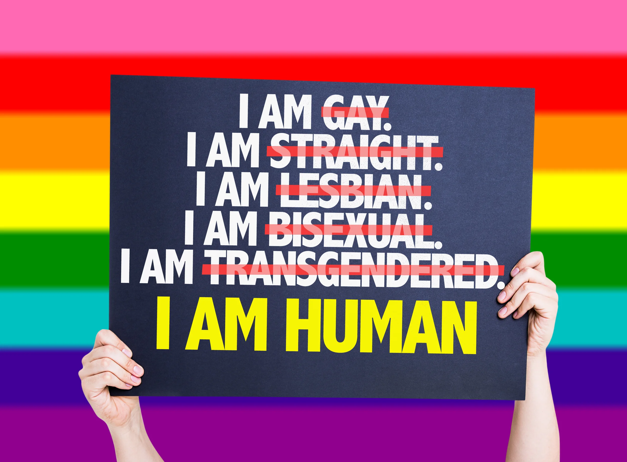 (Image: Gustavo Frazao)