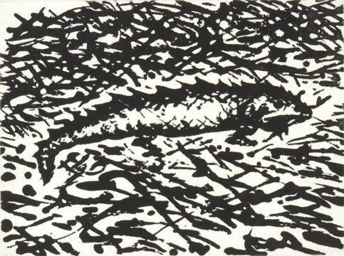 Iguana • by Raymond Pettibon