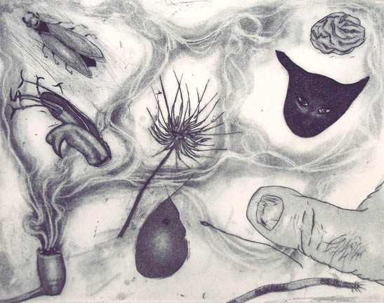 Gota de Agua • by John Greco