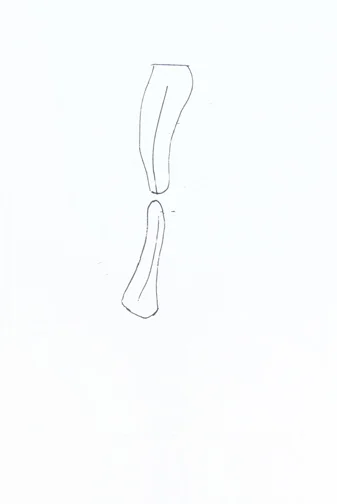 (untitled) • by Nancy Riegelman