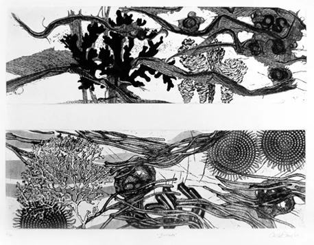 Currents • by Carla Danes