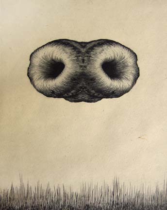 Doppelcruller • Etching with chine colle • 7 inches x 9 inches • $650