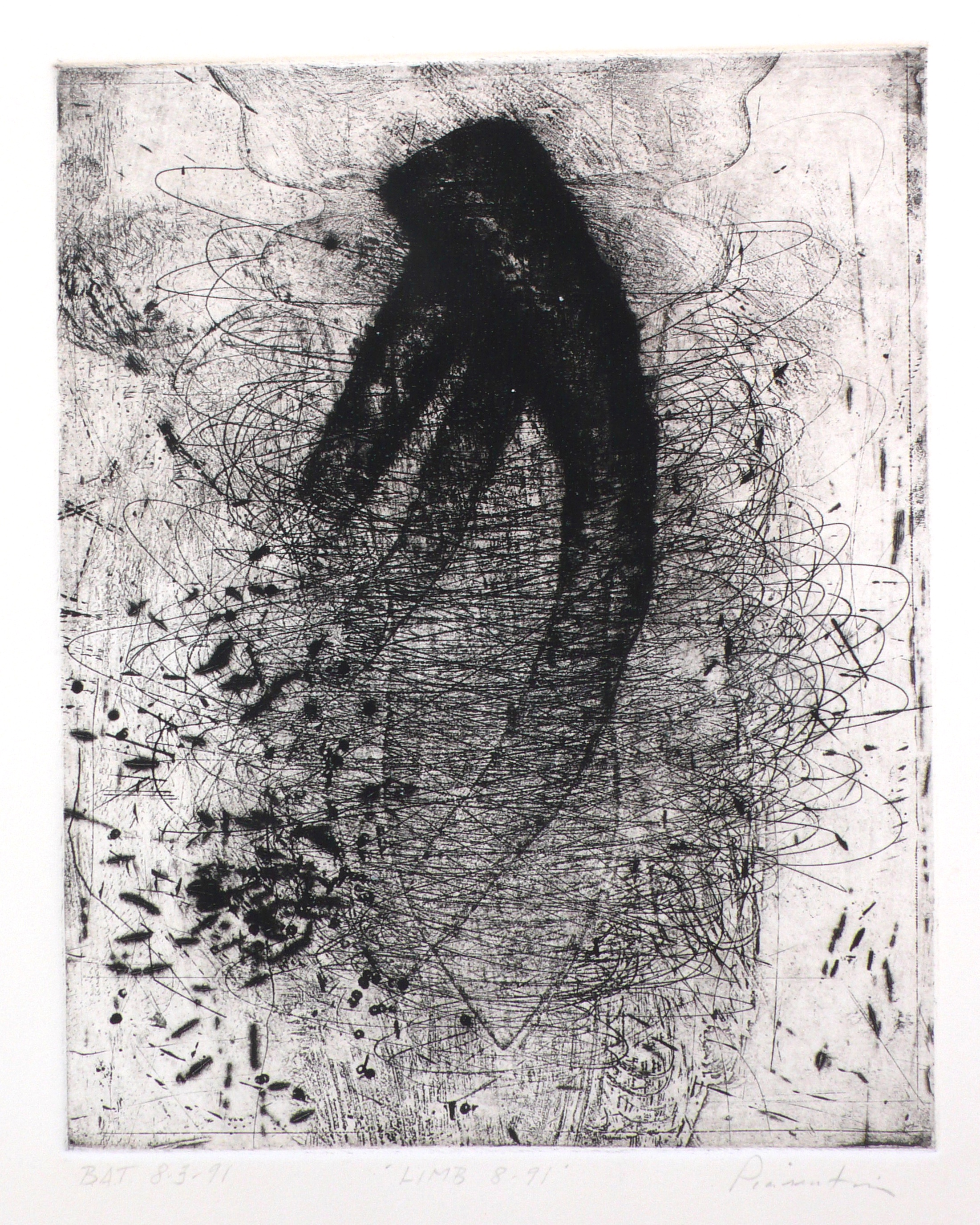 Limb 8-91 • by Joe Piasentin
