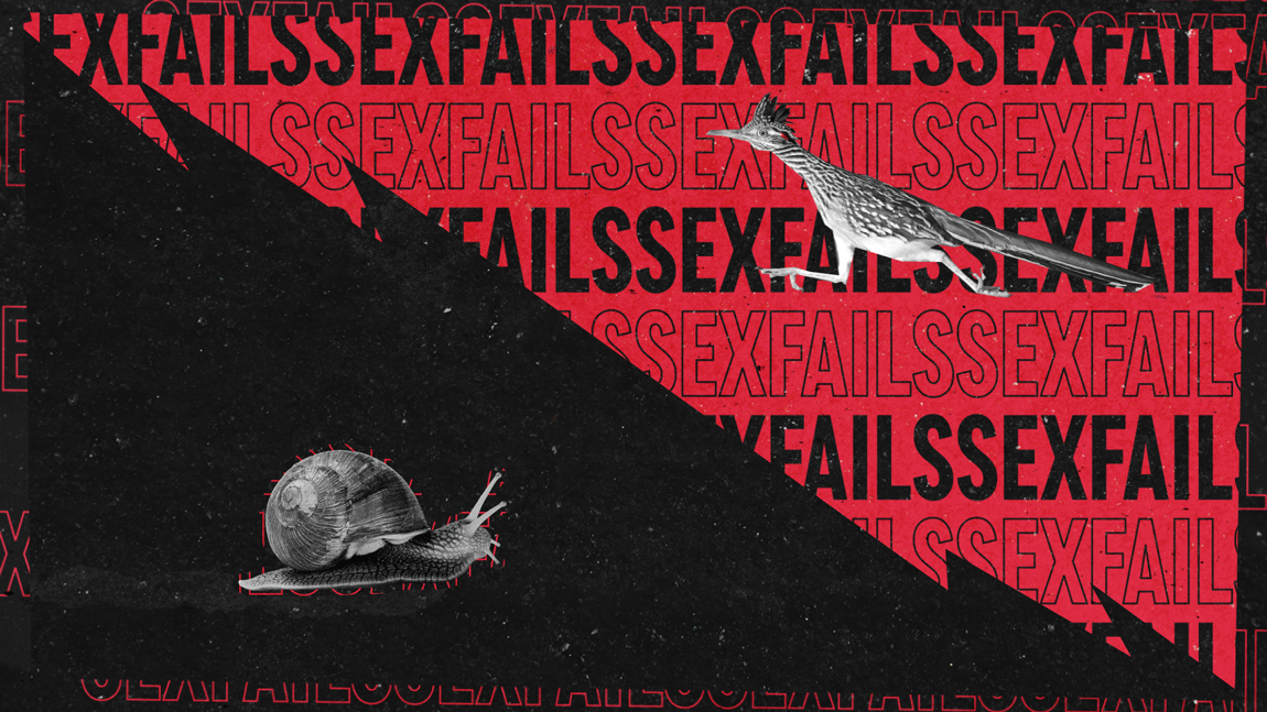 RRvSnail.gif