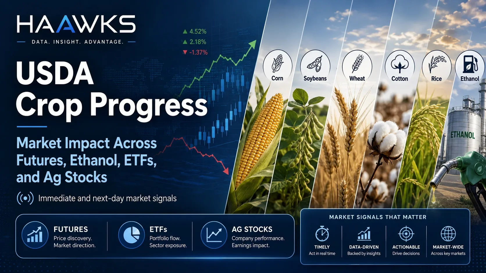 HAAWKS graphic showing USDA Crop Progress market impact across futures, ethanol, ETFs, and agricultural stocks.