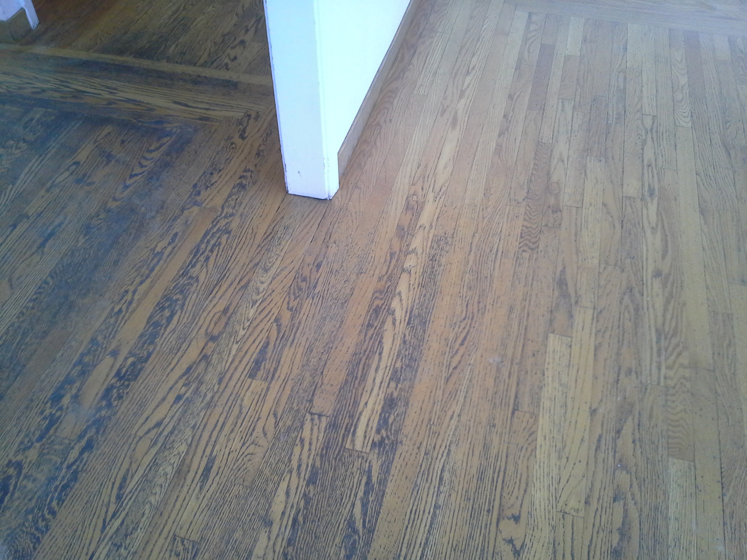 20150401_153947.jpg