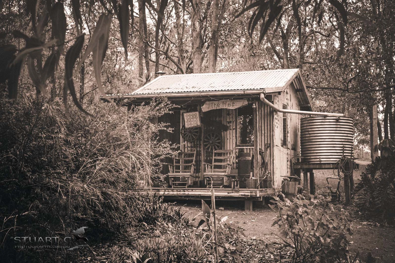 016_366 Sepia.jpg