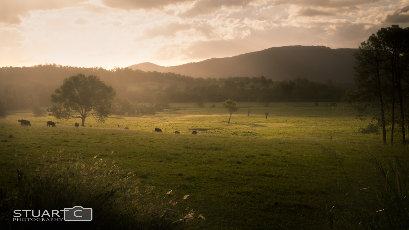 Pocket of light over rural farmland
