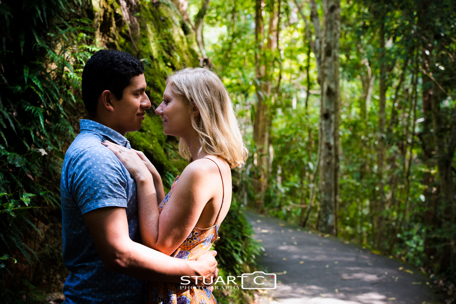 Engaged Couple embracing on rainforest walkway at Kondalilla Falls Sunshine Coast Hinterland
