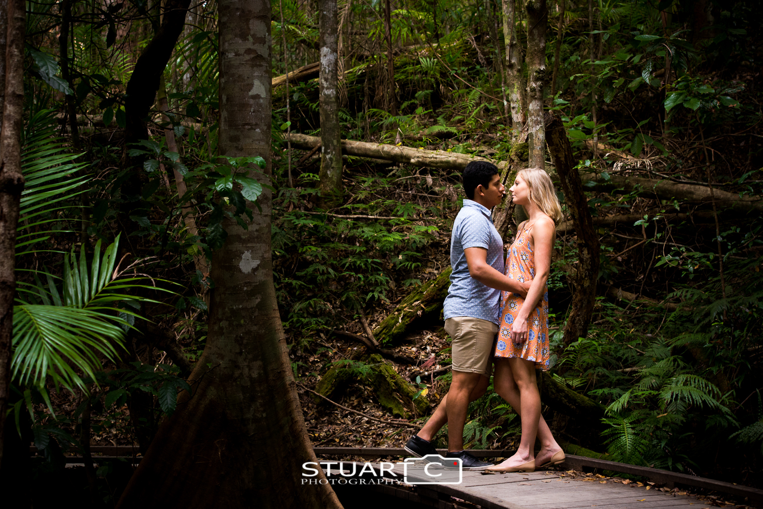 engaged couple in rainforest on timber boardwalk at Kondalilla Falls Sunshine Coast Hinterland