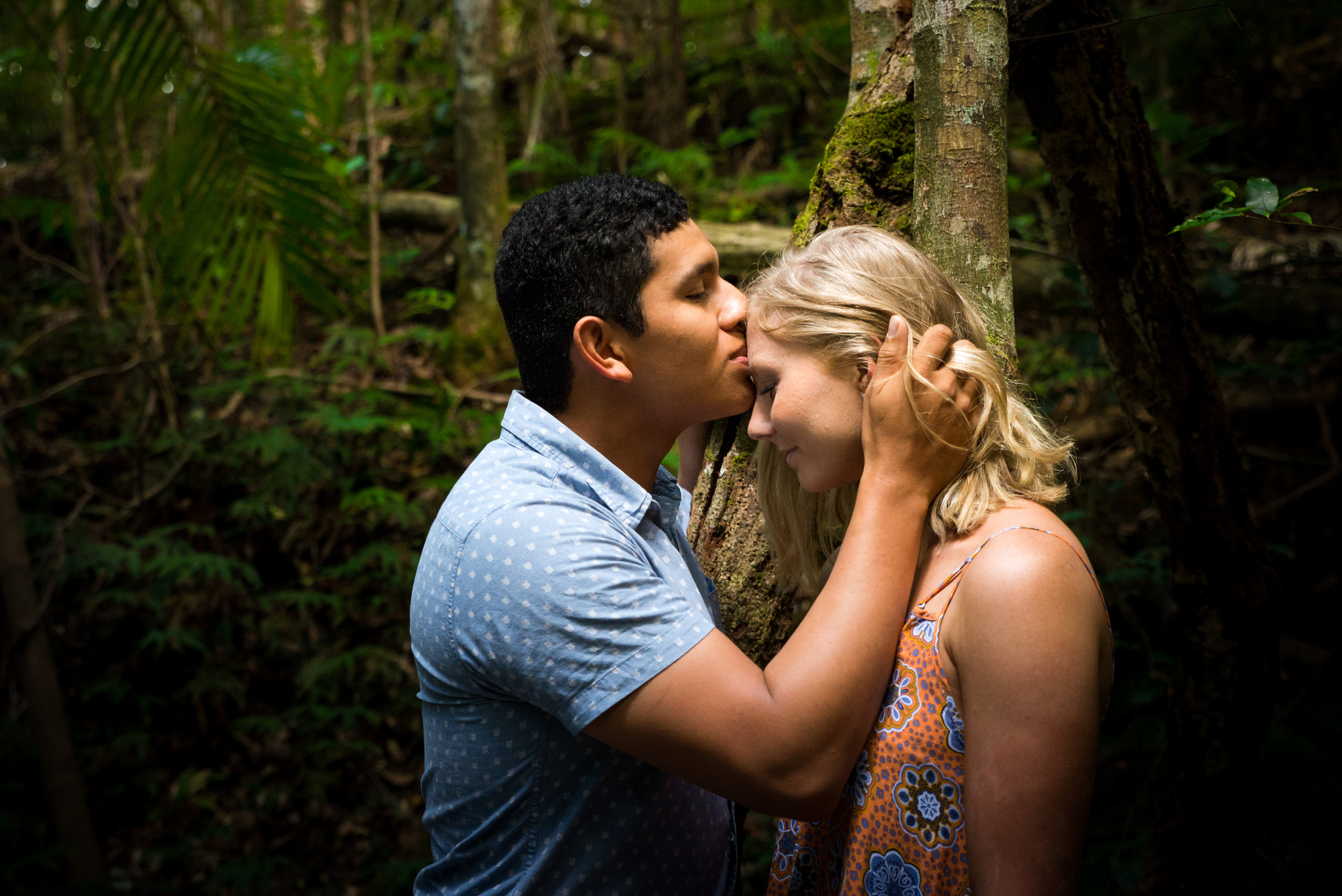 engaged couple kissing forehead in rainforest at Kondalilla Falls Sunshine Coast Hinterland