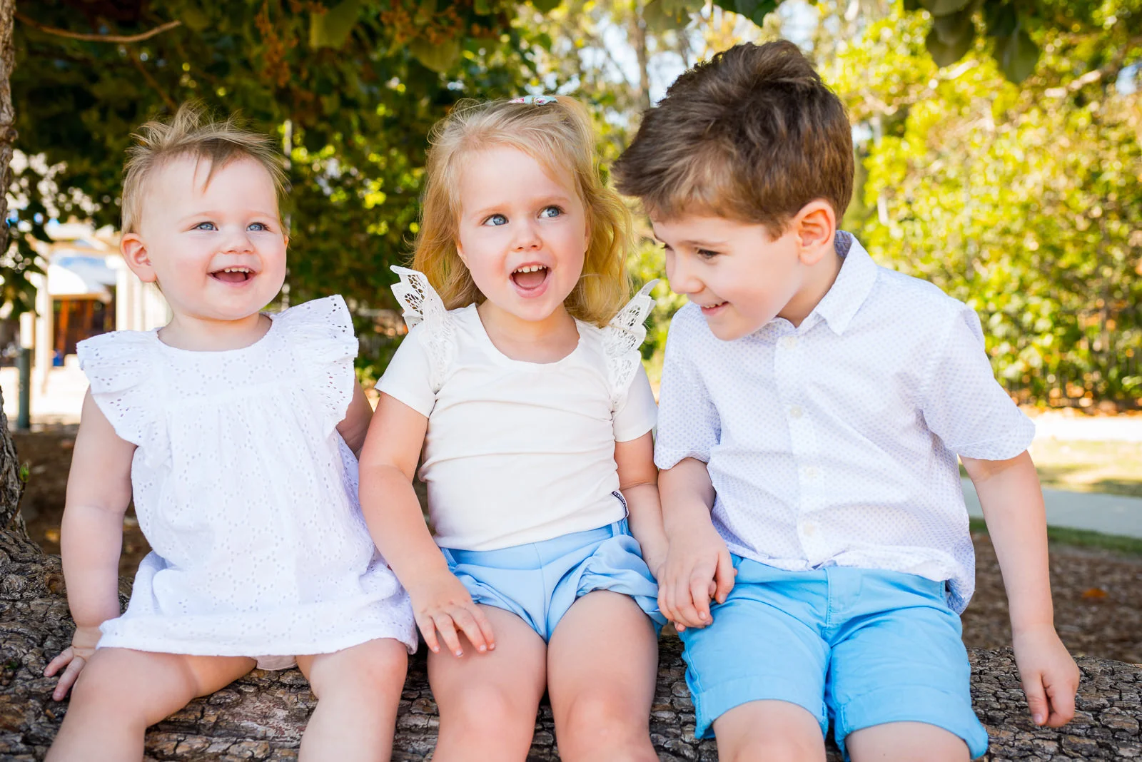 outdoor family portrait of siblings and cousins sitting on a log at the beach near Shorncliffe pier on the northside of brisbane