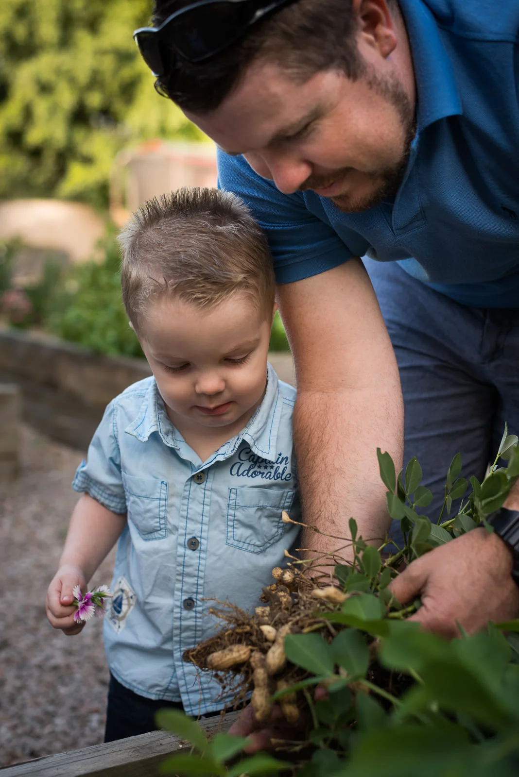 Outdoor Family photos in the back yard at home, Caboolture Photographer