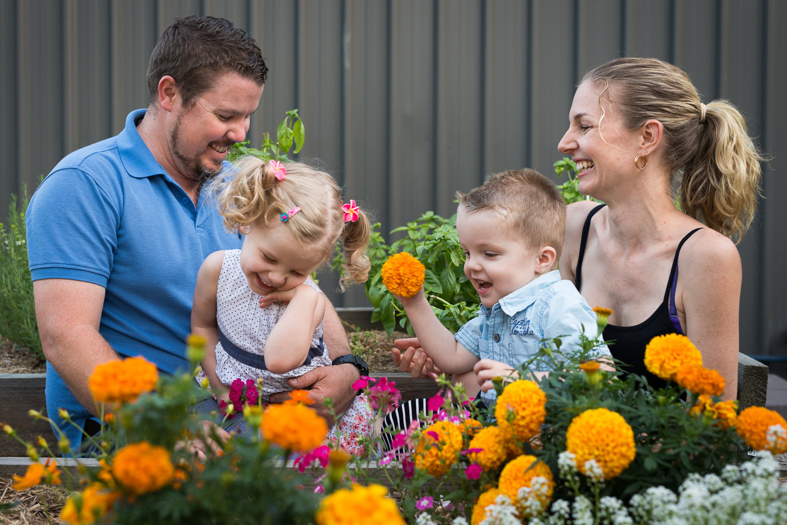 natural moment family of four sitting in the vege patch at home in elimbah