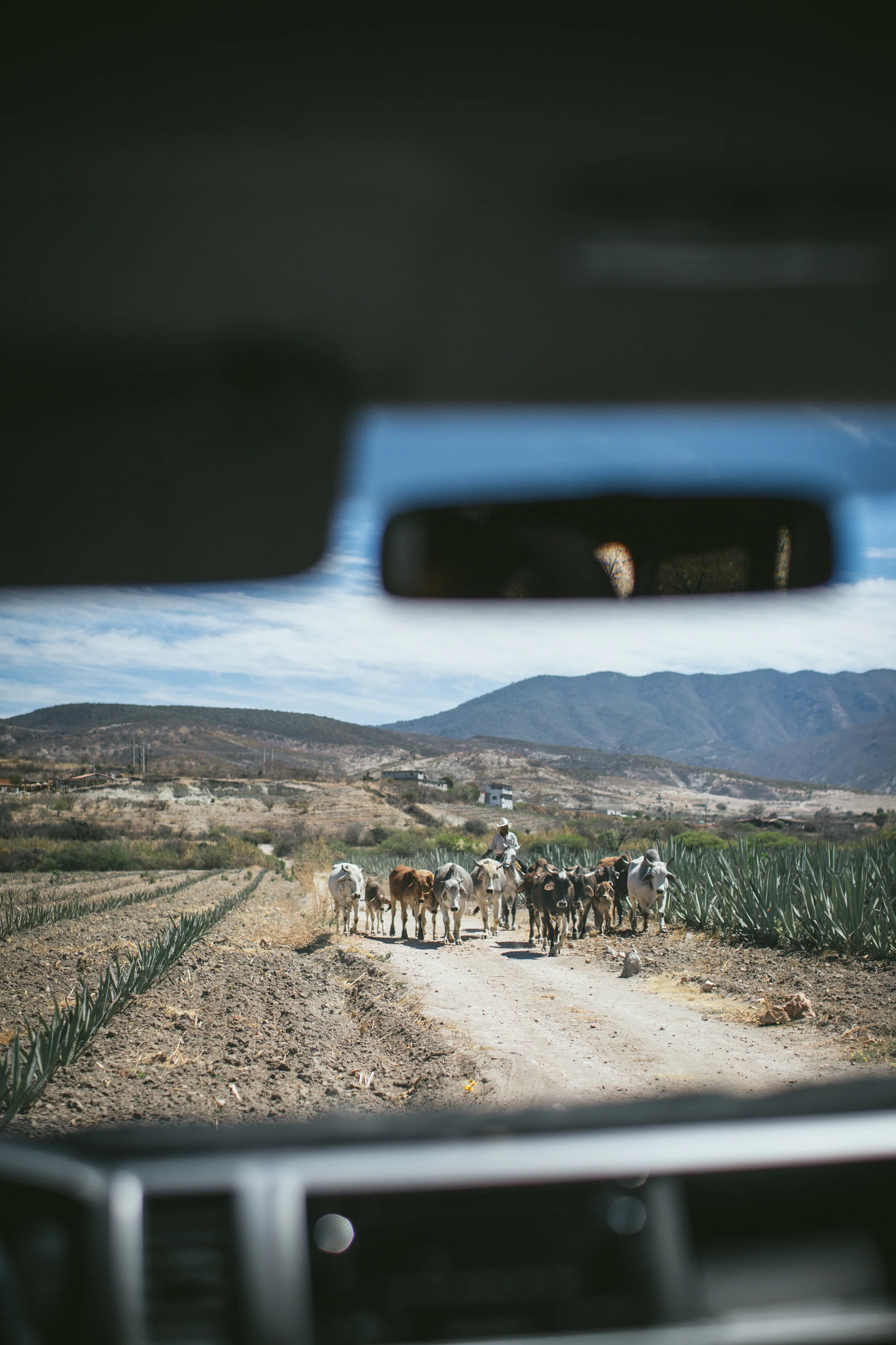 Bright Sunny Travel Photography Lightroom Presets