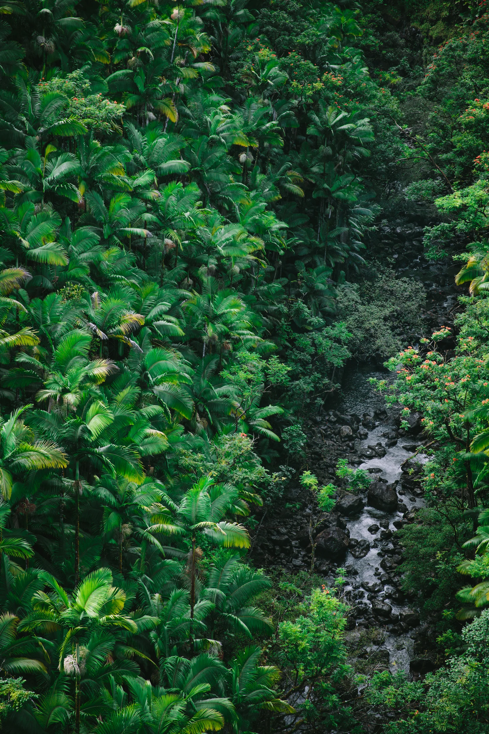 Bright Sunny Travel Photography Lightroom Presets