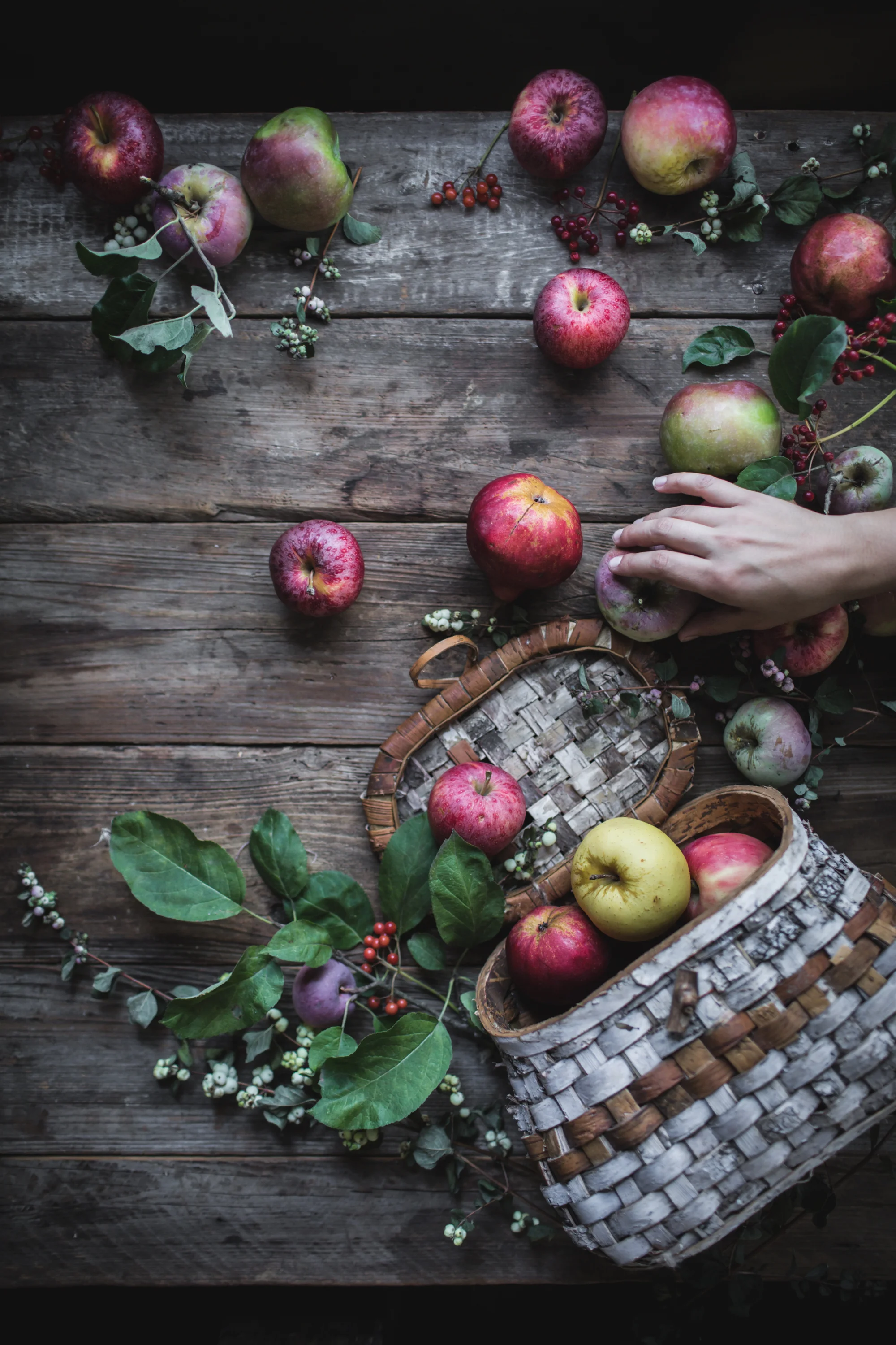 Copy of Online food photography styling storytelling branding and social media course