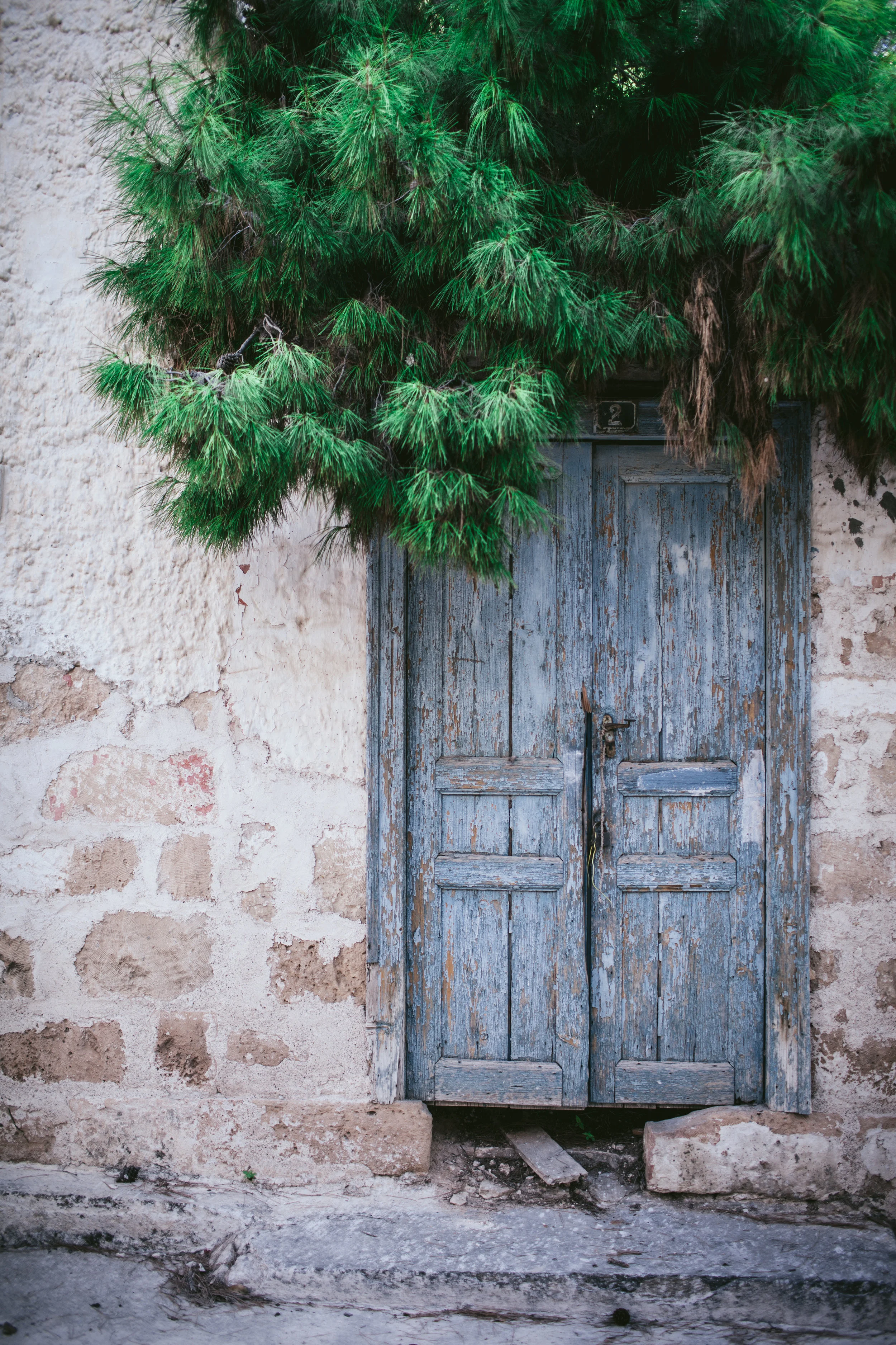 Bright Example by Eva Kosmas Flores-16.jpg