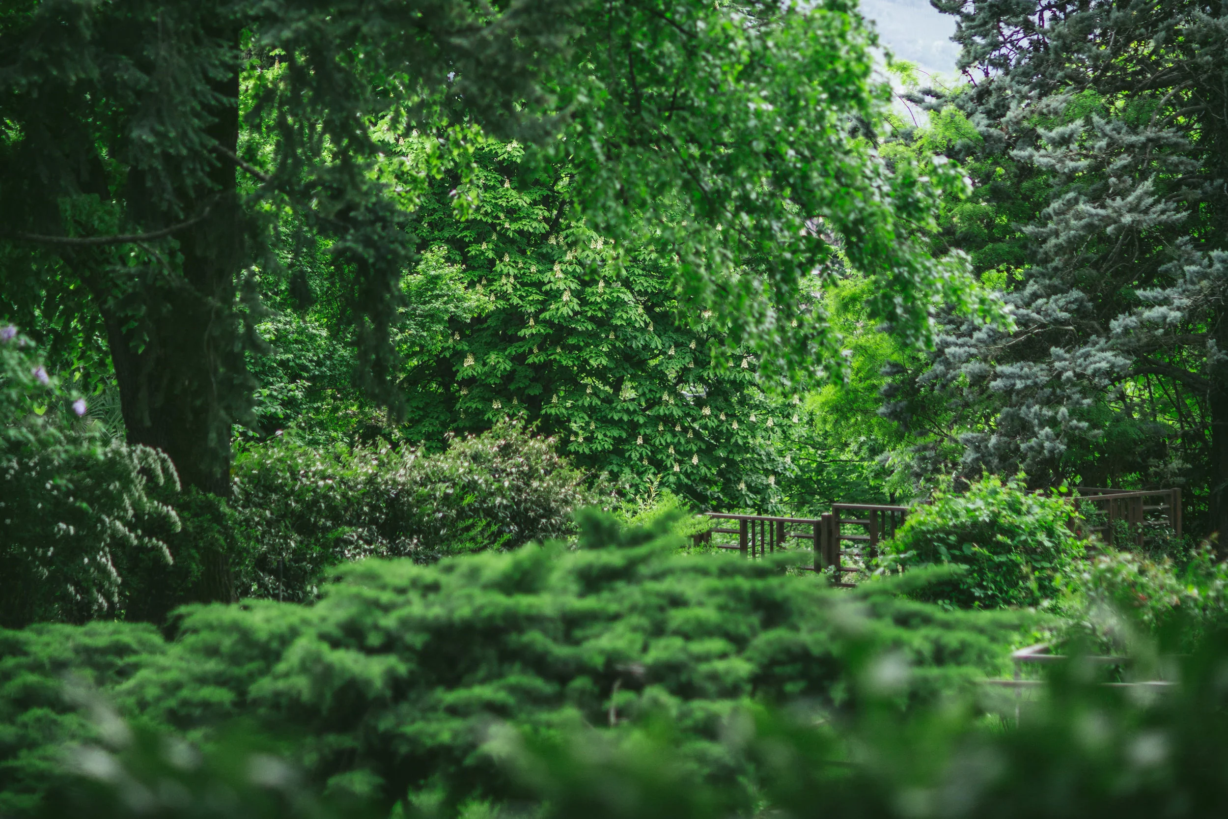 Portland 1-Day Photography + Storytelling + Branding Workshop