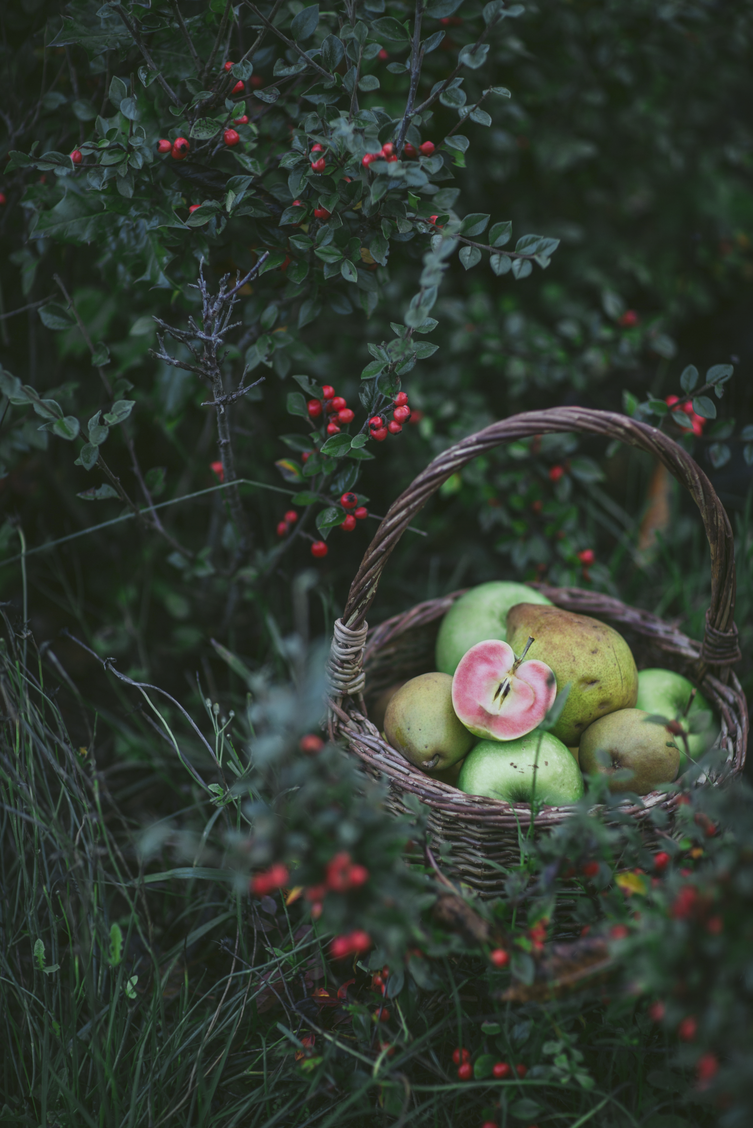 Online Course How to Edit in Adobe Lightroom for Food Photography